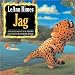 Jag