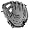 Gray/Black