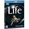 Why Blu-Ray Was Created! The Best I Have Seen So Far...