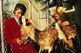 Michael Jackson: Before He Was King 画像