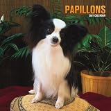Papillons 2007 Calendar