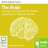 The Brain: Bolinda Beginner Guides
