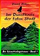 Im Dunstkreis der toten Stadt: Band 1: Der Schmetterlingstraum
