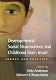 Developmental social neuroscience and childhood brain insult : theory and practice
