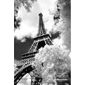 Unframed Posters - Parc Du Champ De Mars, Paris (24 x 36")