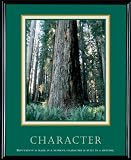Framed ''Character'' Motivational Print, 24w x 30h, Black Frame