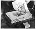 Photographic Print of MAKING A LITHOGRAPH from Mary Evans