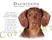 dachshund14 - Dachshund TAN Human Trainer Mouse Pad Dog Mousepad