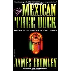 The Mexican Tree Duck