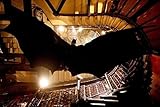 Image de Coffret Batman : The Dark Knight - Batman Begins [Blu-ray]