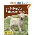 Mein Labrador Retriever zu Hause