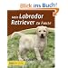 Mein Labrador Retriever zu Hause