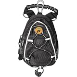 Florida A&M Rattlers NCAA Mini Day Pack