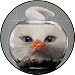 Cat Looking at Gold Fish in Bowl - Etched Vinyl Stained Glass Film, Static Cling Window Decal