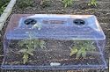 Garden Cloche Tunnel Plant Cover (10 Pack) - Cold Frame and Greenhouse Warmth for Frost Protection of Vegetable Plants, Herbs, & Garden Flowers