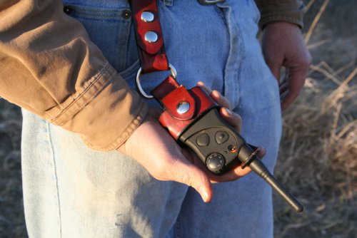 SportDog Leather Transmitter Holster