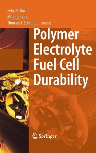 Polymer Electrolyte Fuel Cell Durability (2009-02-20)