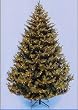 8.5' Canadian Balsam Fir PE Pre-Lit Artificial Christmas Tree - Multi Lights