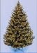 8.5' Canadian Balsam Fir PE Pre-Lit Artificial Christmas Tree - Multi Lights