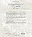 A Cultural History of Physics