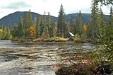 Paysage Canadien - 24"W x 16"H - Peel and Stick Wall Decal by Wallmonkeys