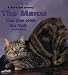 manx15 - The Manx The Cat With No Tail Quasha