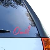 O'Neill Stickers : O'Neill Say What Pink Sticker