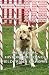 Labradors - History, Breeding, Field Trials & Shows