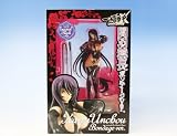 一騎当千 関羽雲長 ボンテージVer. エナメルブラック XTREME XECUTOR キャラアニ ソル・インターナショナル 完成品フィギュア
