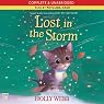 Lost in the Storm