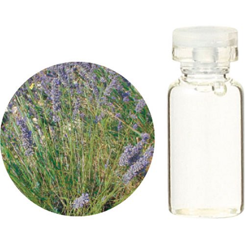 生活の木 C ラバンディン スタンダード エッセンシャルオイル 10ml