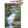 Buddhism for Beginners