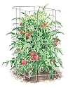 Tomato Cages, Set of 4