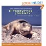 Interrupted Journey: Saving Endangered Sea Turtles