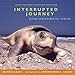Interrupted Journey: Saving Endangered Sea Turtles