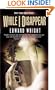 While I Disappear (Prime Crime Mysteries)