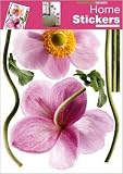 1art1 39941 Blumen - Anemonen Wand-Tatoos Aufkleber Poster-Sticker (70 x 50 cm)