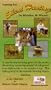 Training For...Silent Hunting...No Whistles, No Whoas! [VHS]