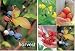 Stonewall Kitchen Harvest Small Note Cards
