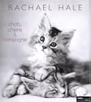 Chats, chiens & compagnie