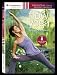 Flow Yoga - Strength & Flexibility [DVD] [2012]