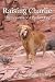 Raising Charlie: The Lessons of a Perfect Dog