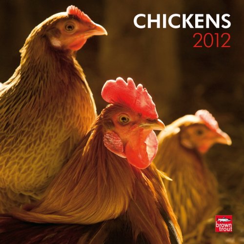 Chickens 2012 Square 12X12 (Multilingual Edition)