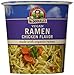 Dr. McDougall's Chicken Ramen Big Soup Cup - 1.8 oz