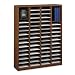Safco E-Z Stor Wood Literature Organizer, 60 Compartments (9331CY)