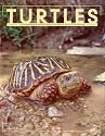 Turtles: An Extraordinary Natural History 245 Million Years in the Making