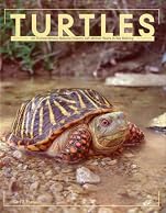Turtles: An Extraordinary Natural History 245 Million Years in the Making