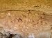 Prehistoric Rock Paintings, Akakus, Sahara Desert, Fezzan, Libya, North Africa, Africa Photographic Poster Print by Pitamitz Sergio, 30x40