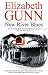 New River Blues (Sarah Burke Mysteries)
