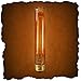 ADL Lumin 60 Watt Nostalgia Era T-9 Beacon Tube Bulb - 10 Pack